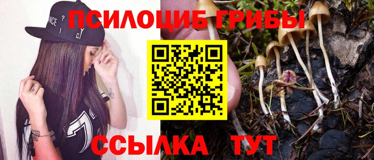 Галлюциногенные грибы Cubensis  цены   Вход с VPN  Свободный  Псилоцибиновые грибы мухоморы 
